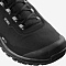 Ботинки SALOMON SHELTER CS WP Black/Bk/Frost Gra